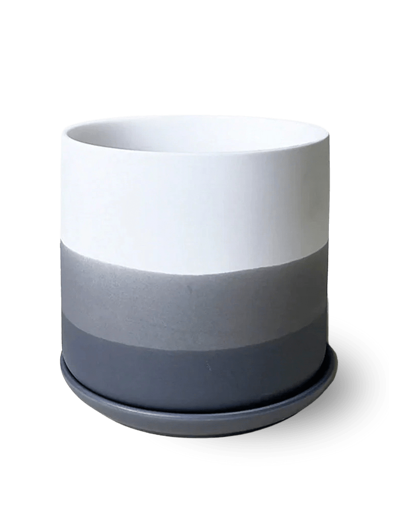 Devo Porcelain Planter With Drainage Hole And Saucer - Chive US Wholesale