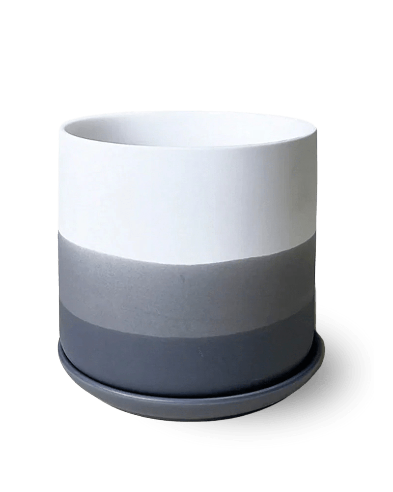 Devo Porcelain Planter With Drainage Hole And Saucer - Chive US Wholesale