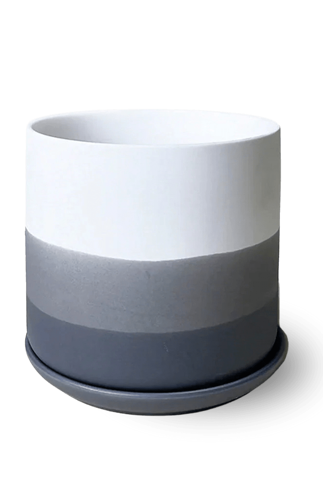 Devo Porcelain Planter With Drainage Hole And Saucer - Chive US Wholesale