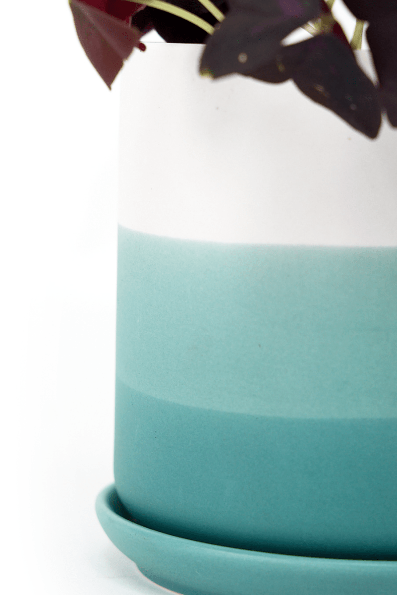 Devo Porcelain Planter With Drainage Hole And Saucer - Chive US Wholesale