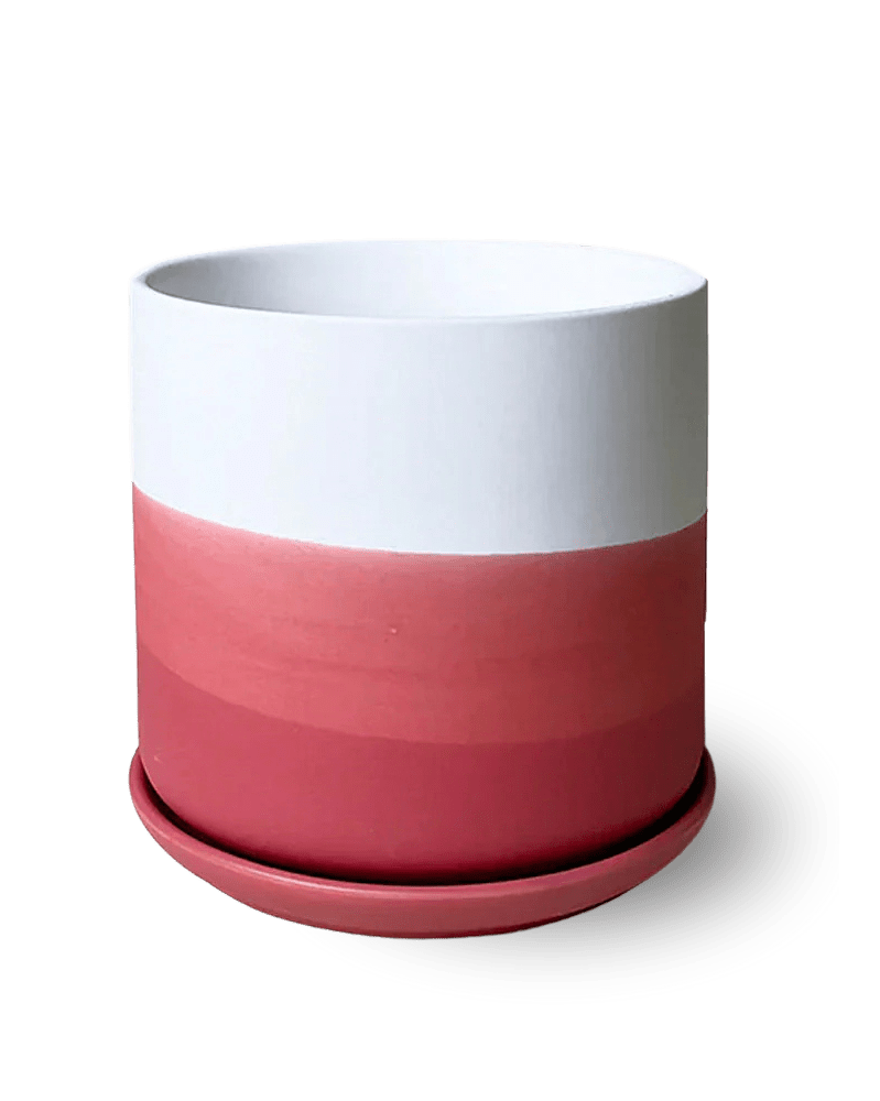 Devo Porcelain Planter With Drainage Hole And Saucer - Chive US Wholesale