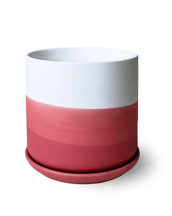 Devo Porcelain Planter With Drainage Hole And Saucer - Chive US Wholesale