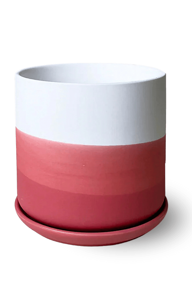 Devo Porcelain Planter With Drainage Hole And Saucer - Chive US Wholesale