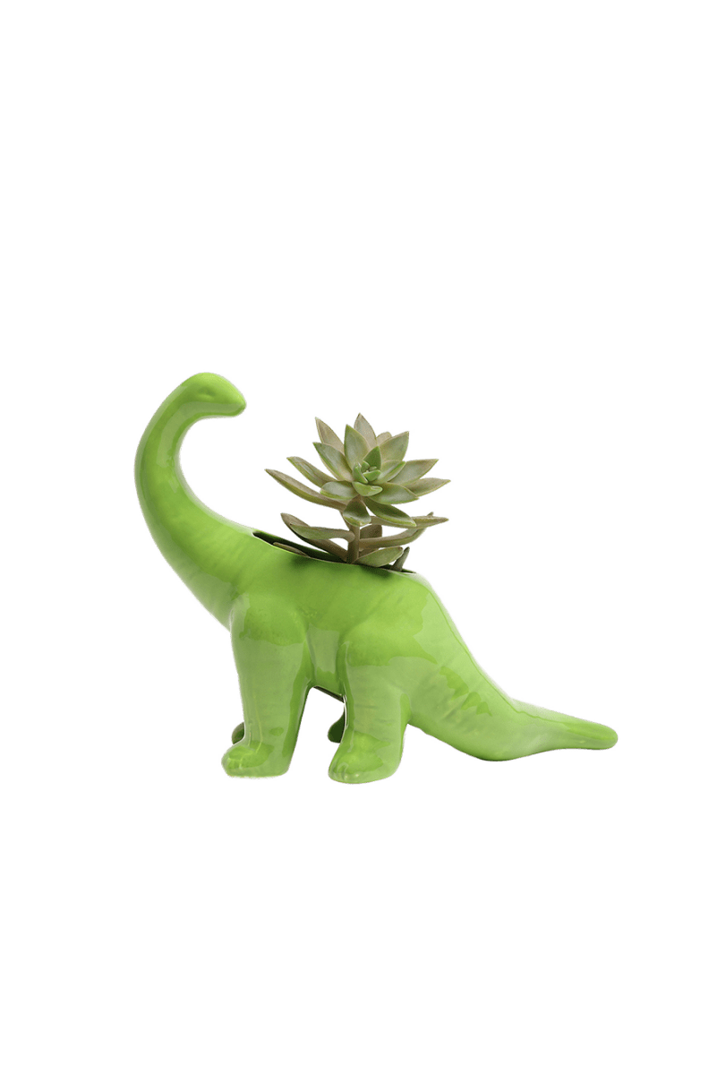 Dinosaur Planter 24pc Kit 2 - Chive US Wholesale