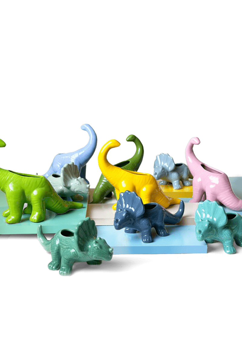 Dinosaur Planter 24pc Kit 2 - Chive US Wholesale