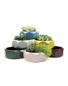 Discus Ceramic Succulent Dish Planter Kit - Chive US Wholesale