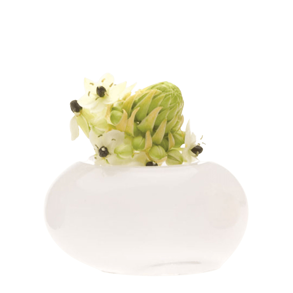 Digout Glass Flower Vase - Chive US Wholesale