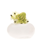 Digout Glass Flower Vase - Chive US Wholesale