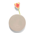 Wall Dot Ceramic Flower Vase Kit - Chive US Wholesale