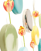 Wall Dot Ceramic Flower Vase Kit - Chive US Wholesale