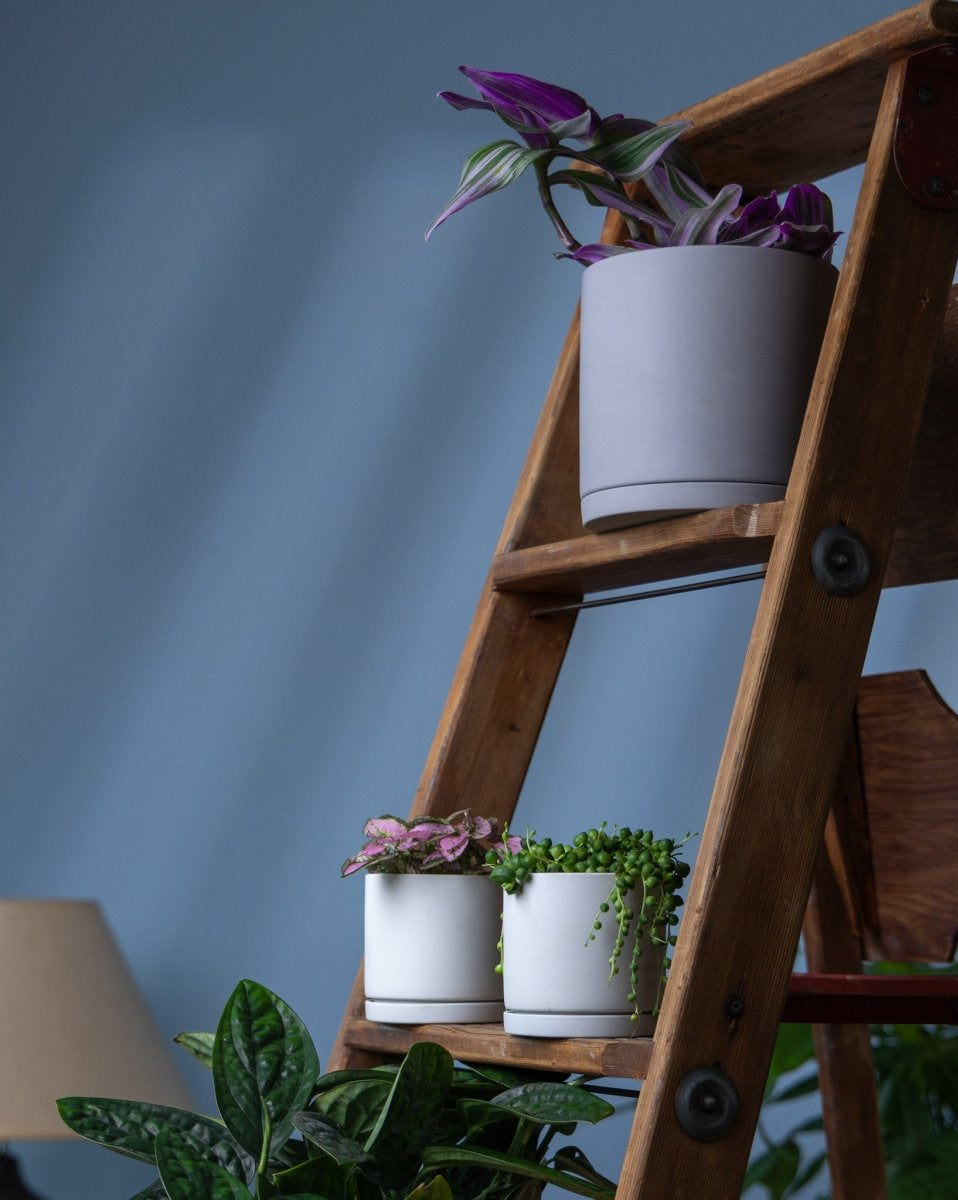 Dojo Porcelain Modern Indoor Plant Pot With Saucer Sets - Chive US Wholesale