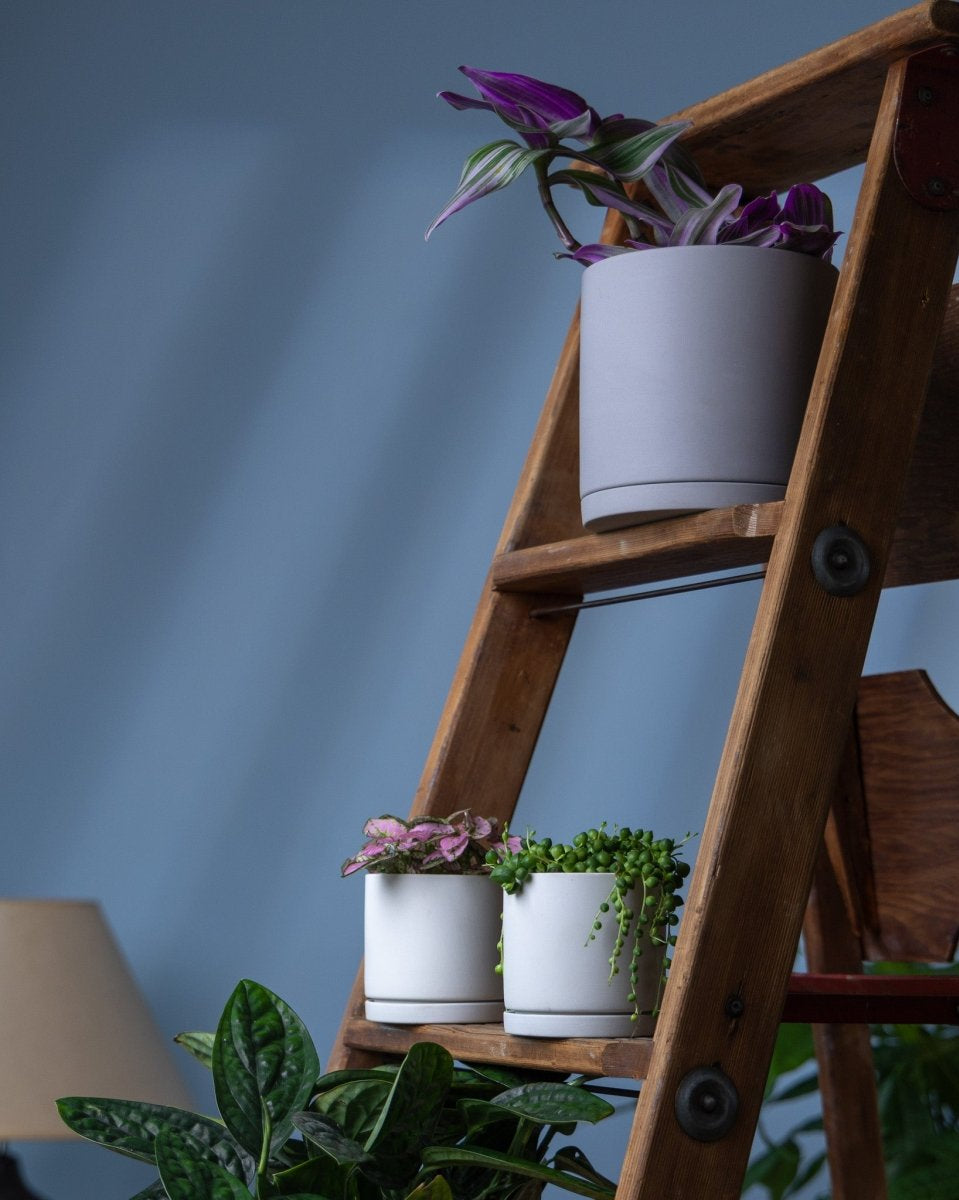 Dojo Porcelain Modern Indoor Plant Pot With Saucer Sets - Chive US Wholesale