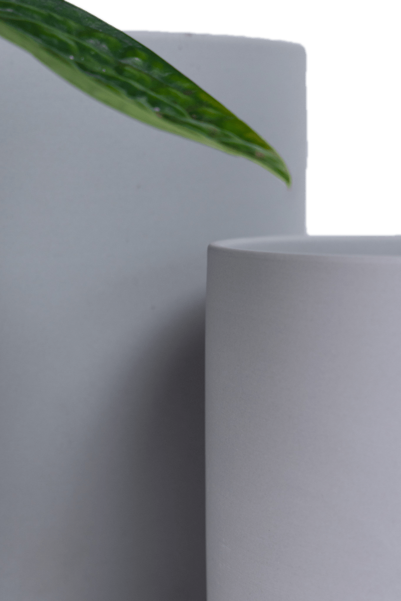 Dojo Porcelain Modern Indoor Plant Pot With Saucer - Chive US Wholesale