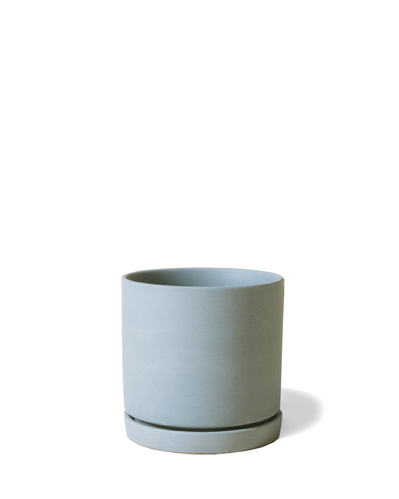 Dojo Porcelain Modern Indoor Plant Pot With Saucer - Chive US Wholesale