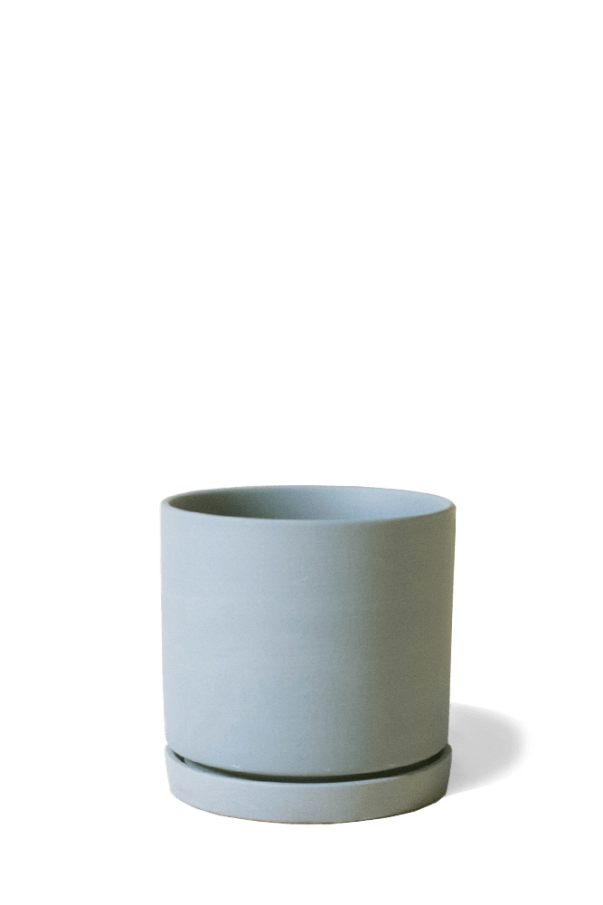Dojo Porcelain Modern Indoor Plant Pot With Saucer - Chive US Wholesale