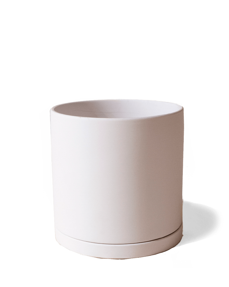 Dojo Porcelain Modern Indoor Plant Pot With Saucer - Chive US Wholesale