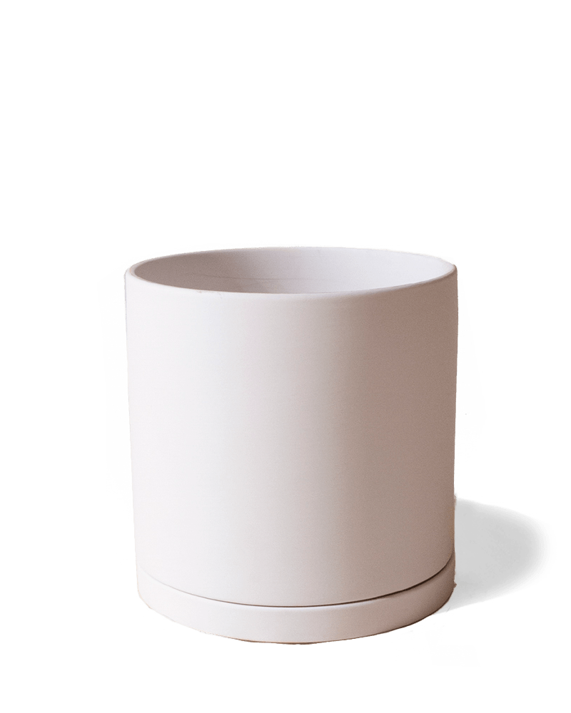 Dojo Porcelain Modern Indoor Plant Pot With Saucer - Chive US Wholesale