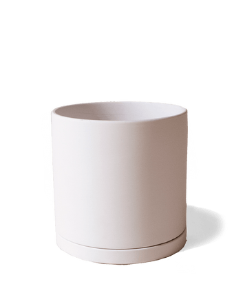 Dojo Porcelain Modern Indoor Plant Pot With Saucer - Chive US Wholesale