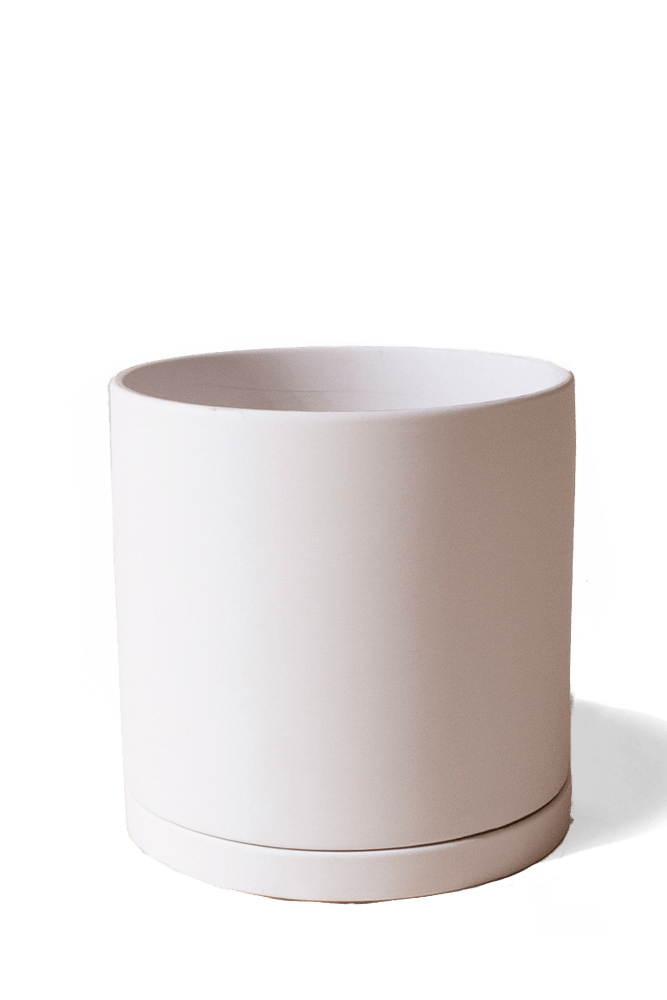 Dojo Porcelain Modern Indoor Plant Pot With Saucer - Chive US Wholesale