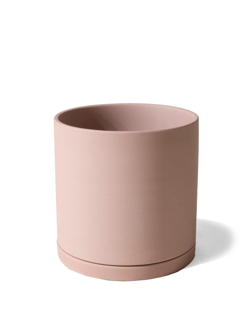 Dojo Porcelain Modern Indoor Plant Pot With Saucer - Chive US Wholesale