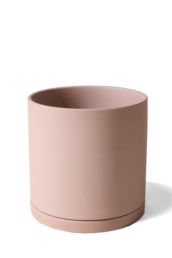 Dojo Porcelain Modern Indoor Plant Pot With Saucer - Chive US Wholesale