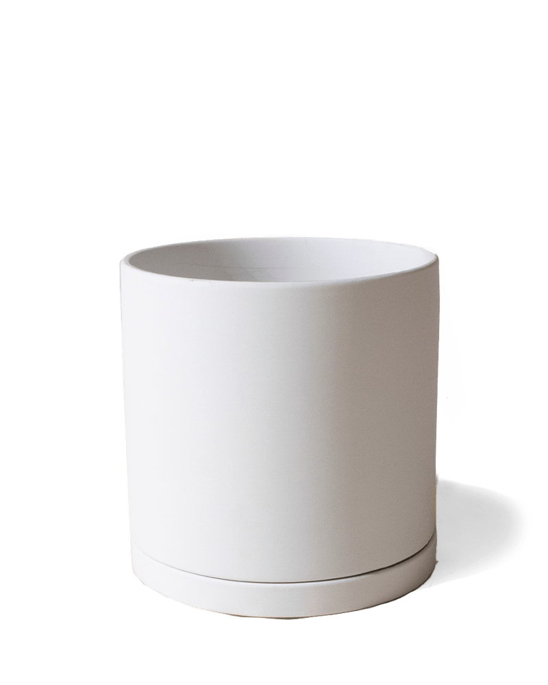 Dojo Porcelain Modern Indoor Plant Pot With Saucer - Chive US Wholesale