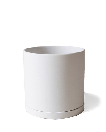 Dojo Porcelain Modern Indoor Plant Pot With Saucer - Chive US Wholesale