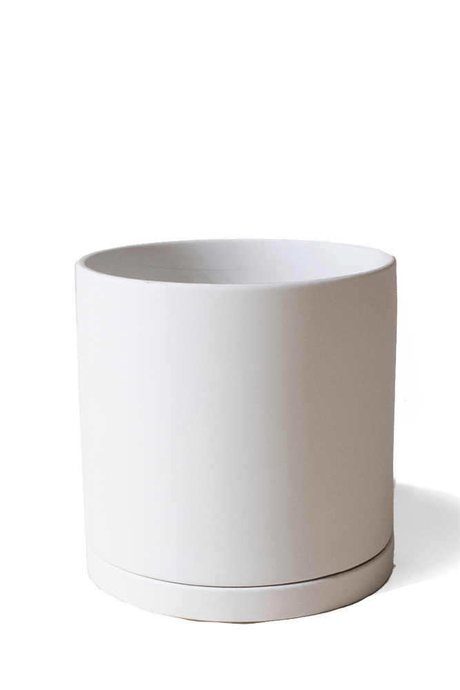 Dojo Porcelain Modern Indoor Plant Pot With Saucer - Chive US Wholesale