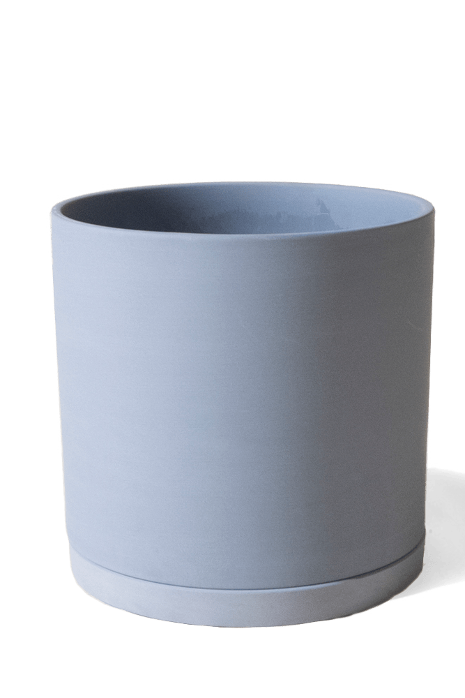 Dojo Porcelain Modern Indoor Plant Pot With Saucer - Chive US Wholesale