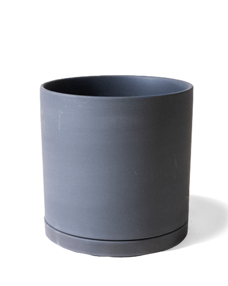 Dojo Porcelain Modern Indoor Plant Pot With Saucer - Chive US Wholesale