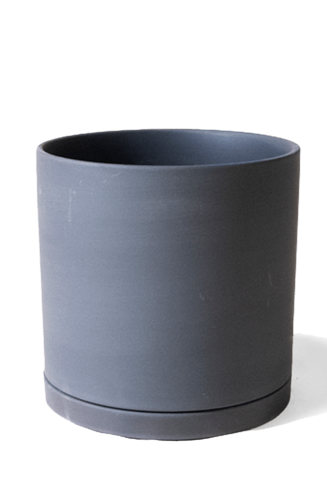 Dojo Porcelain Modern Indoor Plant Pot With Saucer - Chive US Wholesale