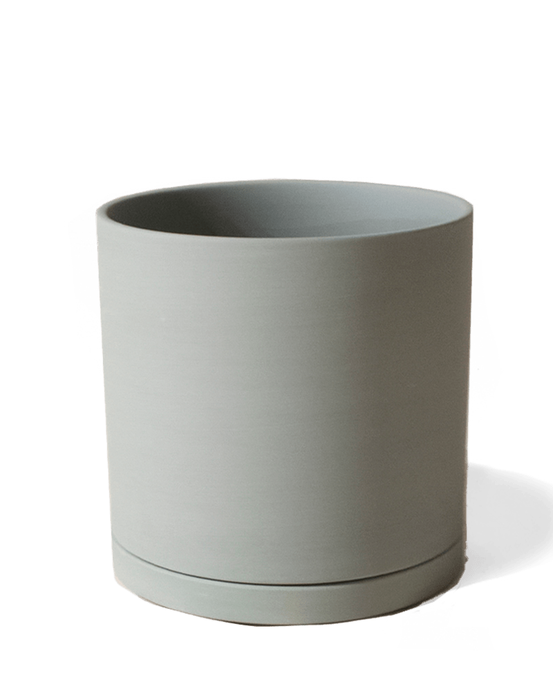 Dojo Porcelain Modern Indoor Plant Pot With Saucer - Chive US Wholesale