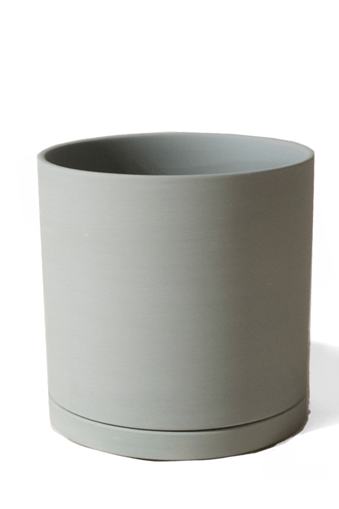 Dojo Porcelain Modern Indoor Plant Pot With Saucer - Chive US Wholesale