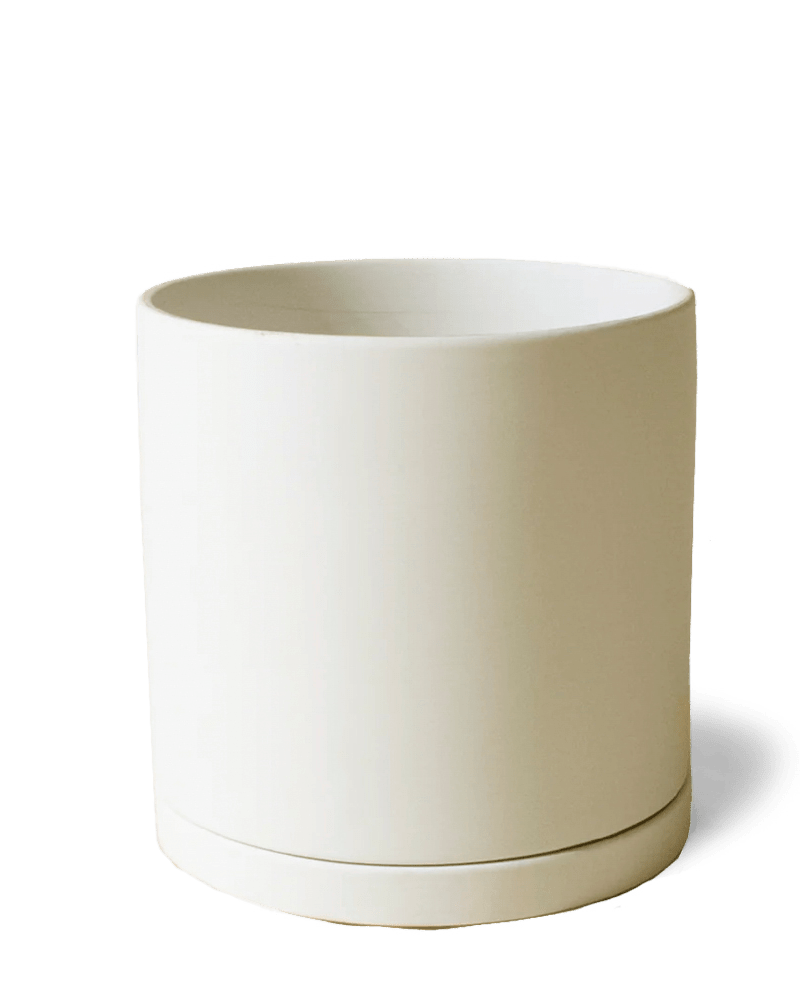 Dojo Porcelain Modern Indoor Plant Pot With Saucer - Chive US Wholesale