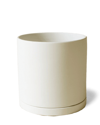Dojo Porcelain Modern Indoor Plant Pot With Saucer - Chive US Wholesale