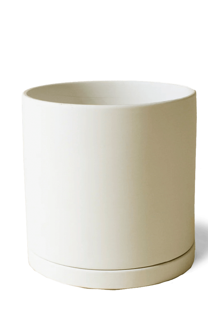 Dojo Porcelain Modern Indoor Plant Pot With Saucer - Chive US Wholesale