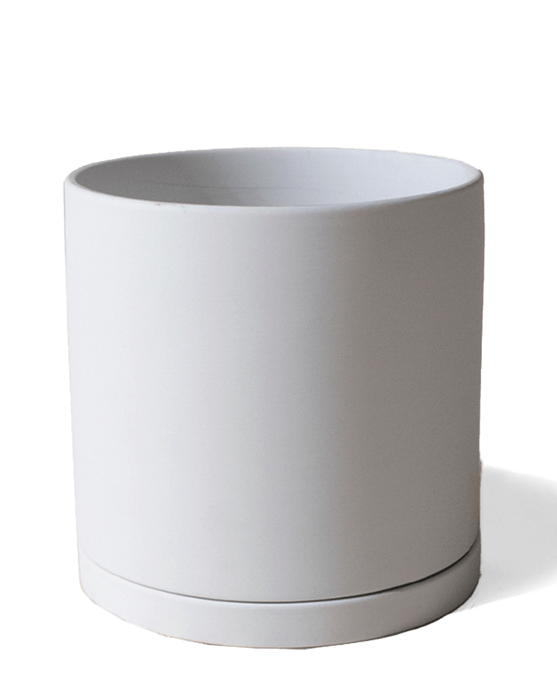 Dojo Porcelain Modern Indoor Plant Pot With Saucer - Chive US Wholesale