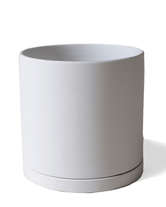 Dojo Porcelain Modern Indoor Plant Pot With Saucer - Chive US Wholesale