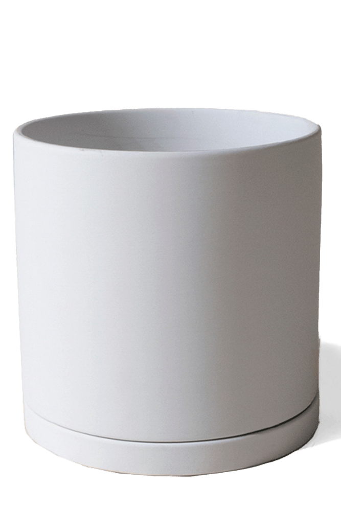 Dojo Porcelain Modern Indoor Plant Pot With Saucer - Chive US Wholesale