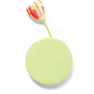 Wall Dot Ceramic Flower Vase Kit - Chive US Wholesale