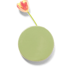 Wall Dot Ceramic Flower Vase Kit - Chive US Wholesale