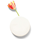 Wall Dot Ceramic Flower Vase Kit - Chive US Wholesale