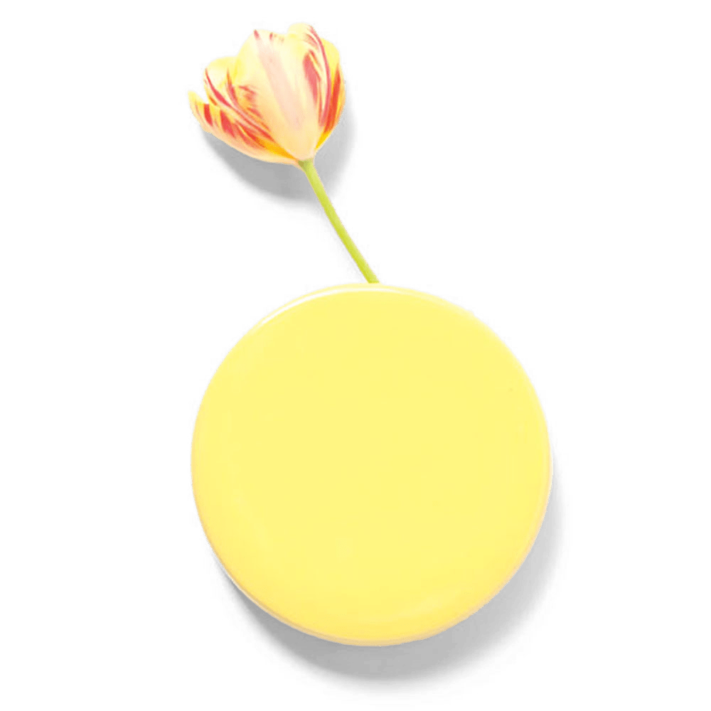 Wall Dot Ceramic Flower Vase Kit - Chive US Wholesale