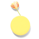 Wall Dot Ceramic Flower Vase Kit - Chive US Wholesale