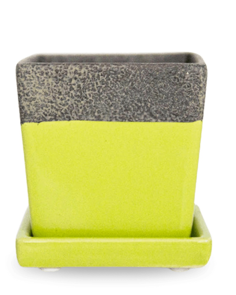 Duo Ceramic Planter With Drainage Hole And Saucer - Chive US Wholesale
