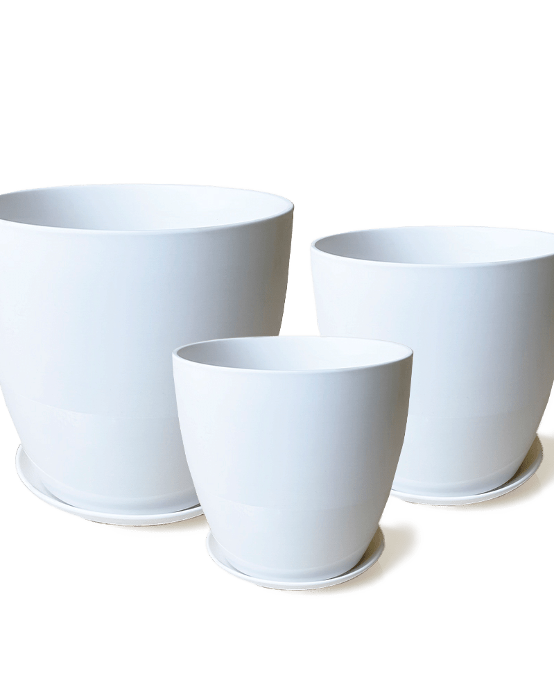 Dyad Porcelain Modern Indoor Plant Pot With Saucer Sets - Chive US Wholesale
