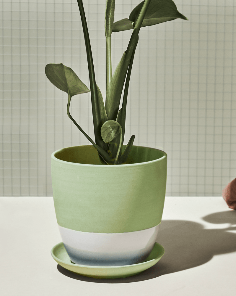 Dyad Porcelain Modern Indoor Plant Pot With Saucer - Chive US Wholesale