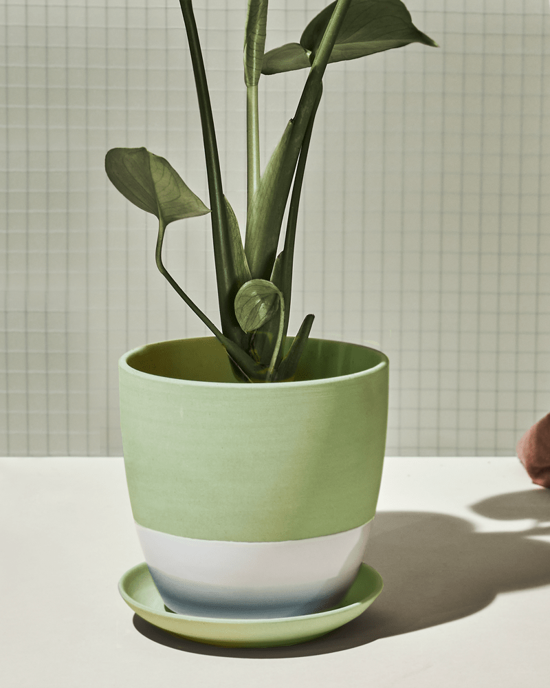 Dyad Porcelain Modern Indoor Plant Pot With Saucer - Chive US Wholesale