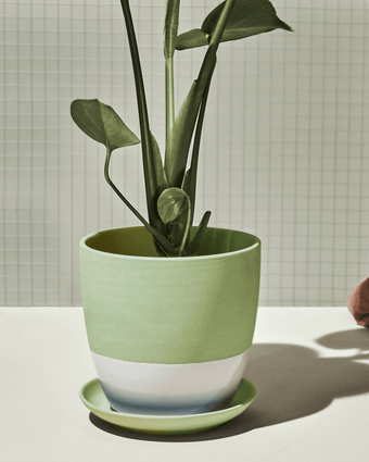 Dyad Porcelain Modern Indoor Plant Pot With Saucer - Chive US Wholesale