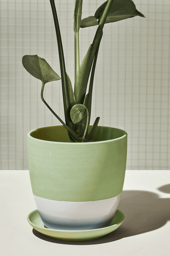 Dyad Porcelain Modern Indoor Plant Pot With Saucer - Chive US Wholesale
